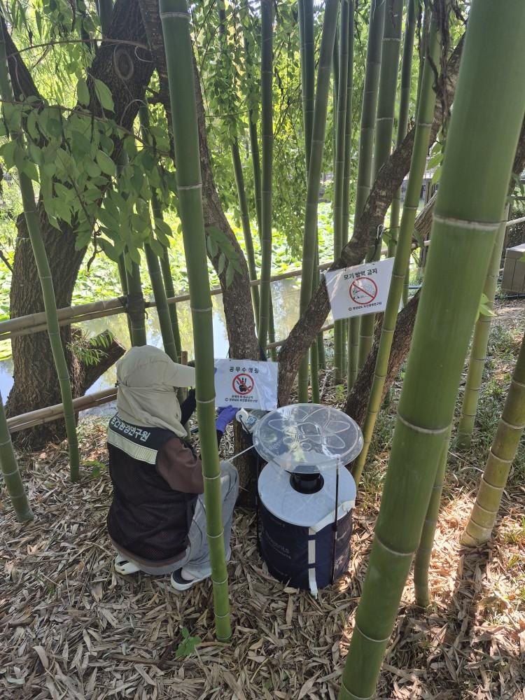 경남보건환경연구원, 뎅기열 환자 주변 모기 검사 ‘바이러스 불검출’